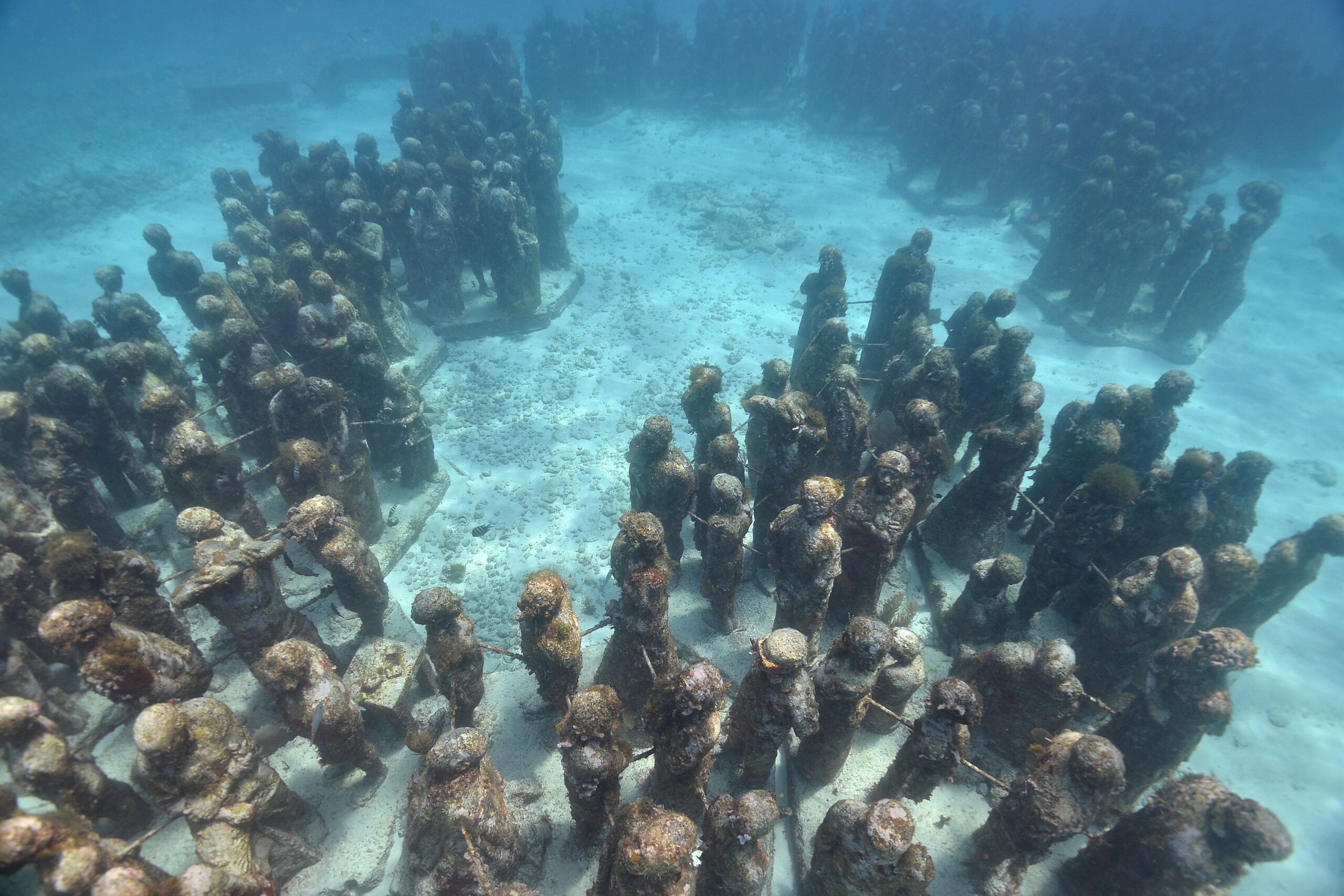 Buceador certificado explorando el arrecife Manchones en MUSA Cancún